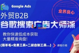 二叔《外贸B2B谷歌搜索广告大师课》
