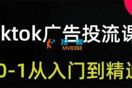 跨境无疆《Tiktok广告投放从入门到精通》