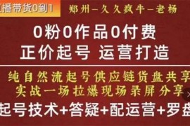 久久疯牛《0粉0作品0付费正价起号》