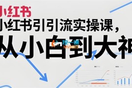 东风学社《小红书引流从小白到大神》