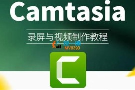 小淘《Camtasia2024实操视频课程》