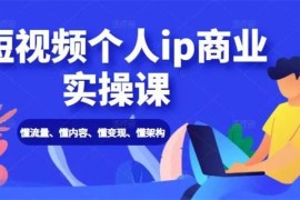 进击的小徐《短视频个人IP商业实操课》