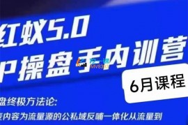 小徐《红蚁5.0IP操盘手内训营》