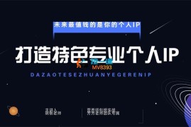 端银《私域流量个人IP全案打造》