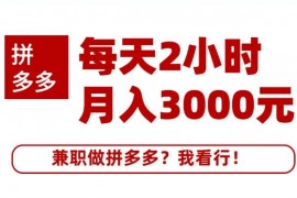 搜外网《每天2小时做拼多多月入3000元》