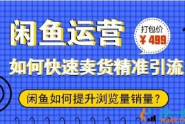 ​胜子老师闲鱼运营：如何快速卖货精准引流