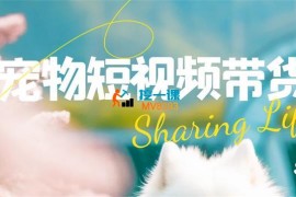 元宝《从0~1宠物短视频带货实战课》