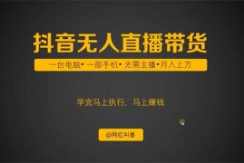 网红叫兽《抖音无人直播带货》