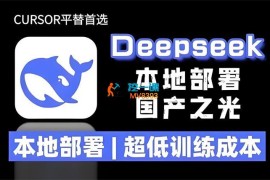 星辰大海《DeepseeK本地部署教程》