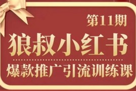 狼叔《小红书爆款推广引流训练课第11期》