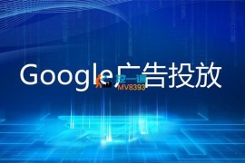 Lisa《2024Google Ads教程》