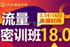 秋秋《线上流量密训班18.0》