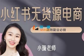 小璇《零基础做小红书电商》