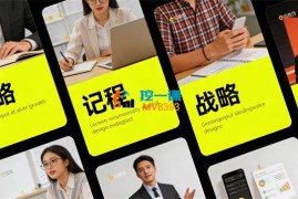 冯唐《战略成长实战课》