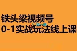 铁头梁《视频号0-1实战玩法线上课》