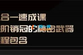 李立恒《从小白到销冠三合一速成》