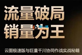 千千《云图极速版与巨量干川协同作战实战秘籍》