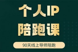 高有才《短视频个人IP陪跑课》