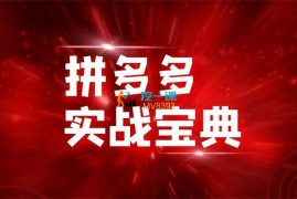 互力电商会《拼多多实战宝典》