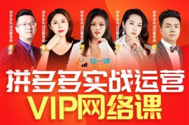 推易《2023年6拼多多VIP全套直播课程》