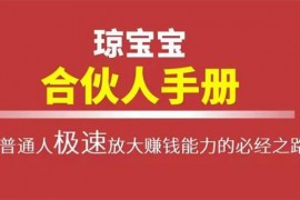 琼宝宝​《合伙人手册PDF电子版》