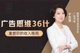 于志凌《广告思维36计》