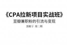 CPA拉新实战班第二期