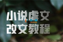 涛哥《小说虐文改文教程》