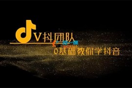 V抖团队《0基础教你学抖音》