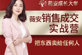 薇安28天销售成交实战营
