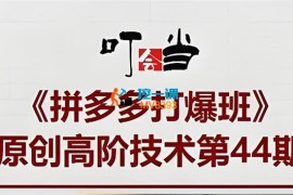 叮当会《拼多多强微付费》