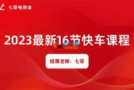 七哥《2023最新16节快车课程》