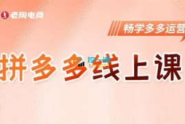 老陶《2023全新多多运营玩法系列课》