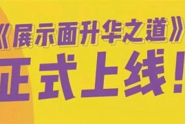 升华《展示面升华之道》