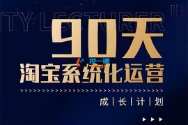 石林《90天淘宝系统化运营》