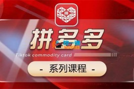 老陶《老陶2024拼多多系列课》