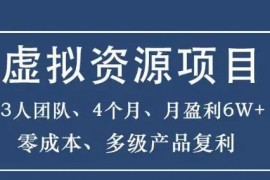 暴疯团队《虚拟资源项目》零成本月入6万