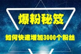 王通【爆粉秘笈】如何快速增加3000个精准粉丝