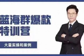 无招店群《蓝海群爆款特训营》