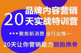 营销老王《新消费内容营销特训营》