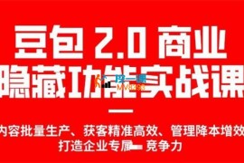 天诺老吴《豆包2.0商业隐藏功能实战》