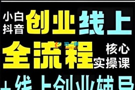 小白线上创业+企业精准用户增长全流程实操