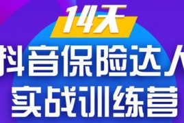 14天抖音保险达人实战训练营，手把手教你从0打造爆款短视频