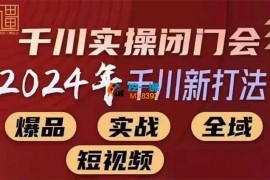 苏酒儿《2024年千川新打法》