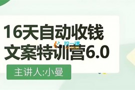 小曼《16天自动收钱文案特训营6.0》