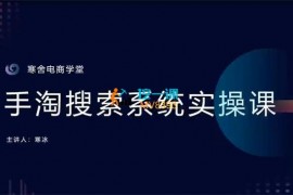 寒冰《手淘搜索系统实操课》