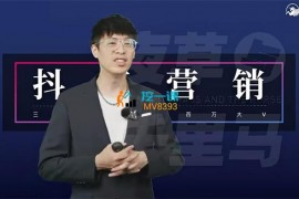 薛辉《三大体系成就百万大V营销课新版》