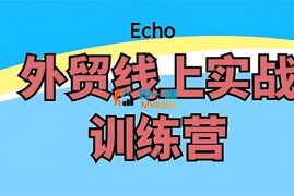 Echo《外贸线上实战训练营》
