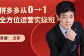 永恒《拼多多从0-1全方位运营实操班》