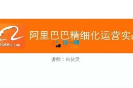 白伙灵《阿里巴巴精细化运营实战课》